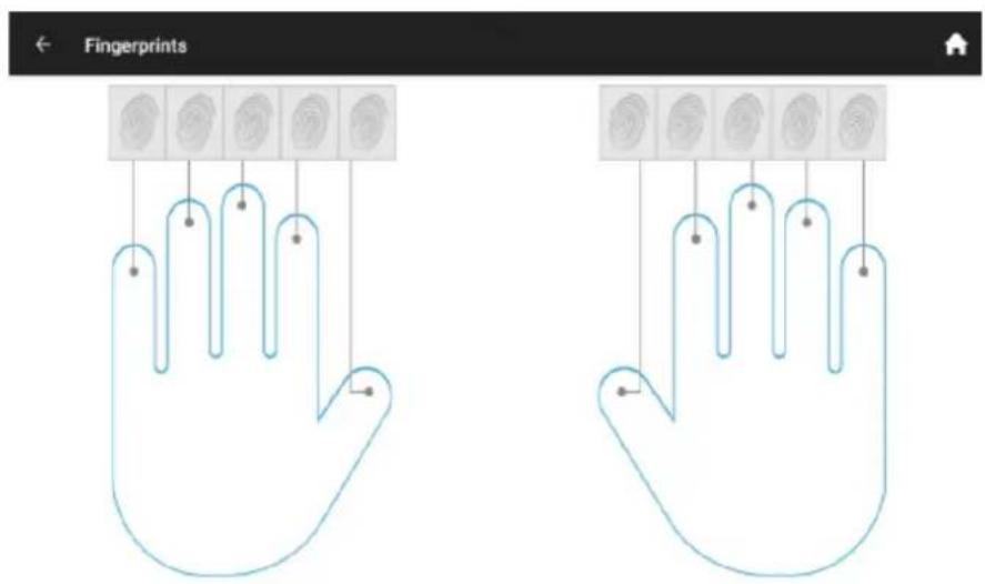 Fingerprints