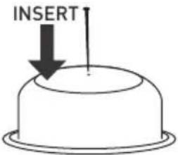 INSERT