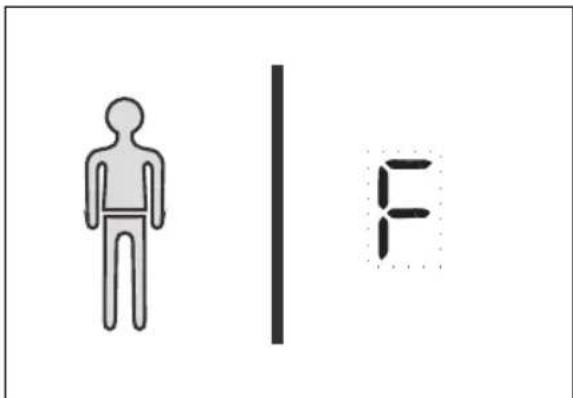 Diagram showing a human figure and a vertical line with the letter 'F' beside it, likely indicating a gender or gender symbol.