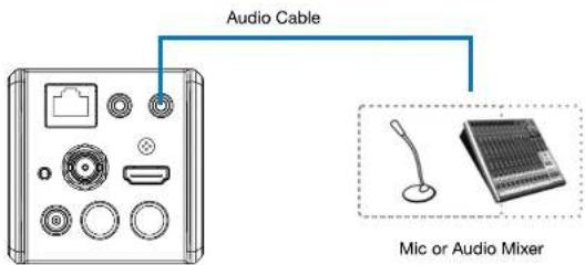 Audio Cable Mic or Audio Mixer