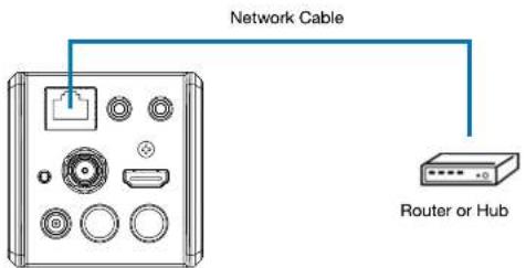 Network Cable Router or Hub