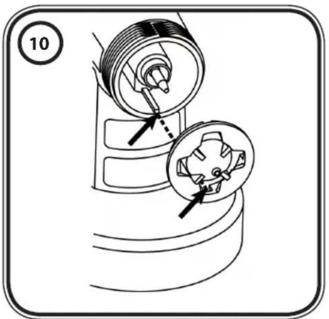10