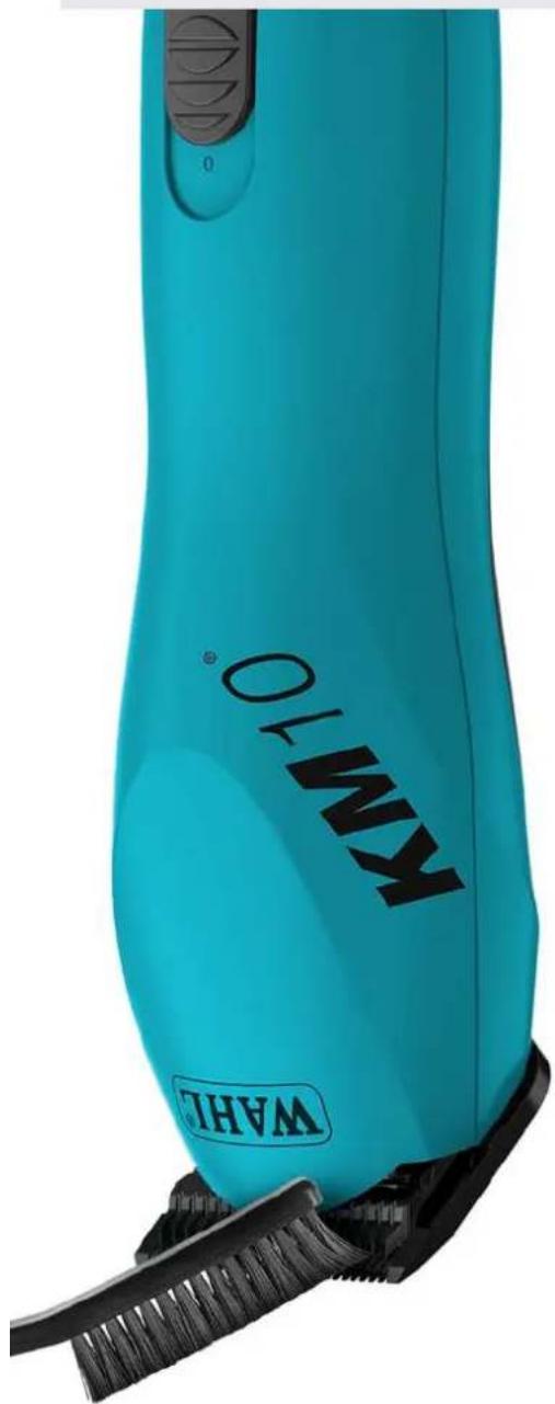 Close-up of a turquoise hairbrush with black bristles and 'WALU' branding (no additional text or symbols visible)