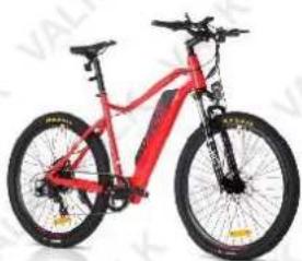 Red and black electric bicycle with visible suspension frame (no text or symbols)