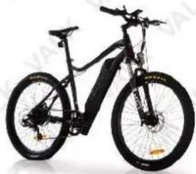 Exterior view of a modern electric bicycle with black body and white suspension (no visible text or symbols)