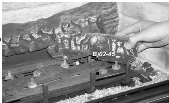 Close-up of a hand holding a fossil specimen on a metal base, with no visible text or symbols in the image.