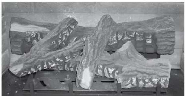 Black-and-white photo of large, textured rock formations on a wooden stand (no visible text or symbols)