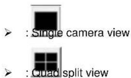 : Single camera view : Quad split view