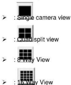 : Single camera view : Quad split view : 8 way View : 16 way View