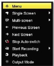Menu Single Screen Multi-screen Previous Screen Next Screen Stop Auto-switch Start Recording Playback Output Mode