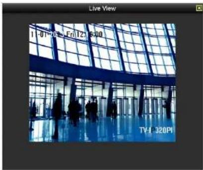 Live View 11-01-05 Fri 12:30 TV-F 320PI