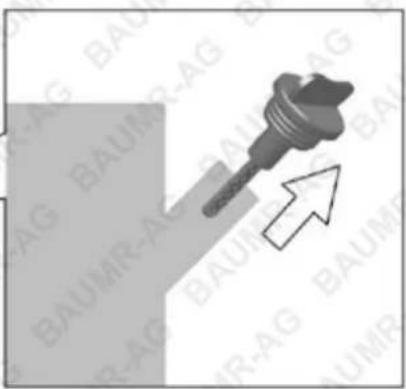 Baumr-AG EX-880R - Oil Level Inspection - 5