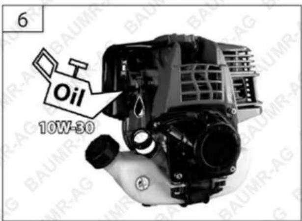 6 Oil 10W-30