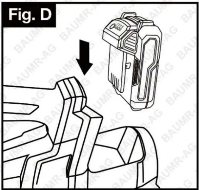 Fig. D
