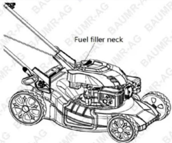 Fuel filler neck