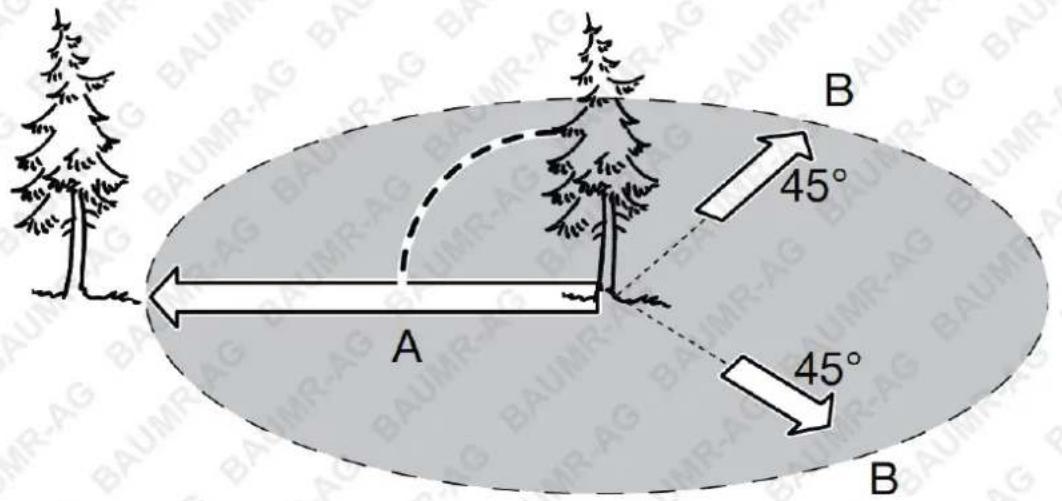 A B 45° 45° B