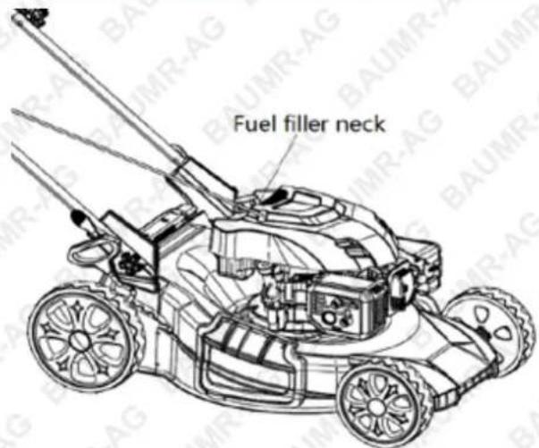 Fuel filler neck