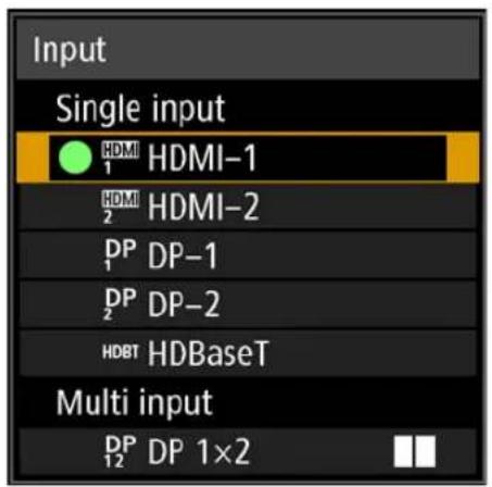Input Single input HDMI 1 HDMI-1 HDMI 2 HDMI-2 DP DP-1 DP DP-2 HDBT HDBaseT Multi input DP 1×2
