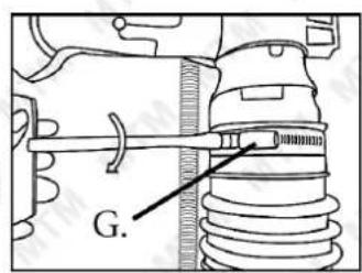 G.