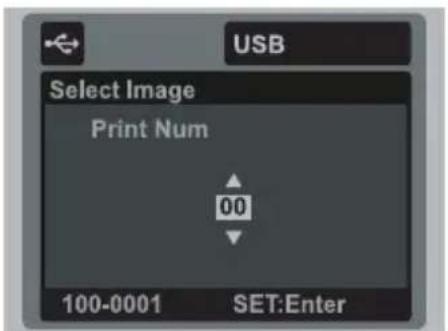 USB Select Image Print Num 00 100-0001 SET:Enter