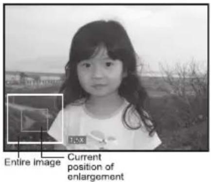 Entire Image Current position of enlargement