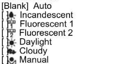[Blank] Auto [ ] Incandescent [ ] Fluorescent 1 [ ] Fluorescent 2 [ ] Daylight [ ] Cloudy [ ] Manual