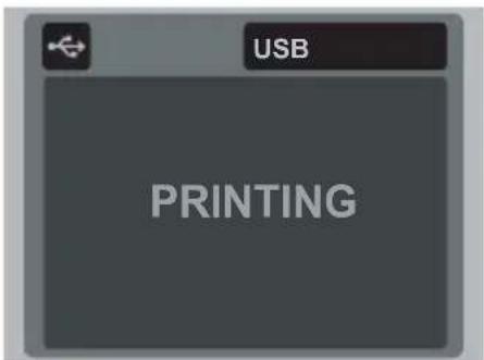 USB PRINTING