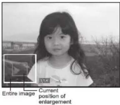 Entire image Current position of enlargement