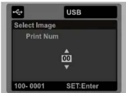 USB Select Image Print Num 00 100- 0001 SET:Enter