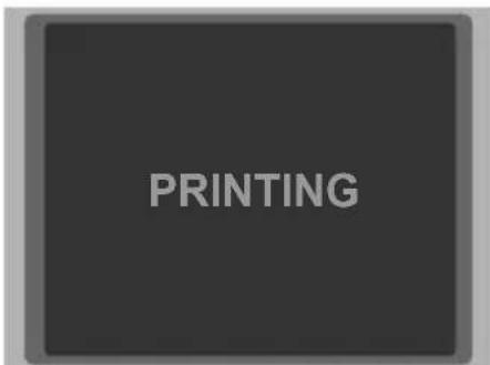 PRINTING