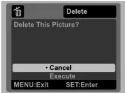 Delete Delete This Picture? • Cancel Execute MENU:Exit SET:Enter