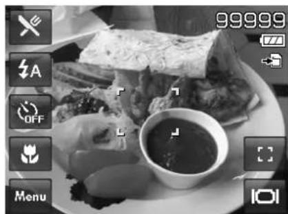 SANYO VPC-E1500TP - Using Food Mode - 1