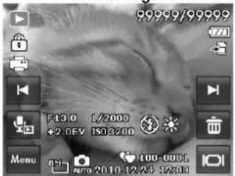 99999/99999 F13.0 1/2000 +2.0EV ISO3200 Menu 100-0005 AUTO 2010-12-24:12:00