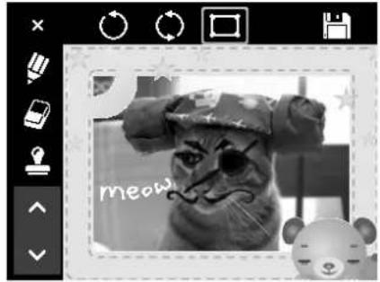 meow!