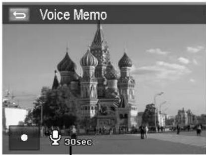 Voice Memo 30sec