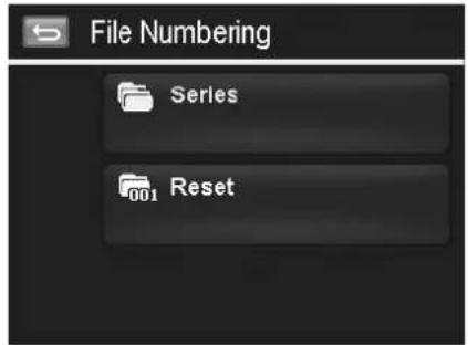 File Numbering Series 001 Reset