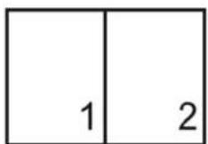 SANYO VPC-E1500TP - Auction mode provides 4 kinds of pattern as follow - 2