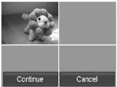 Continue Cancel