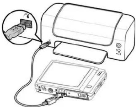 SANYO VPC-E1500TP - Connecting the Camera to a Printer - 1