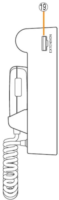 19 EXTENSION