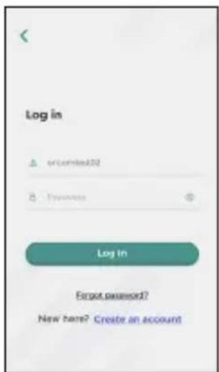 Log in • unicmsted20 • Business Log In Forgot password? New here? Create an account