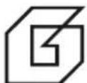 GEMINI GSO40 - 請記錄下列產品資料 - 1