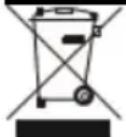Izzy Ultimate Steam IZ-1106 - Important Information for Correct Disposal of the Product in Accordance with EC Directive 2002/96/EC - 1