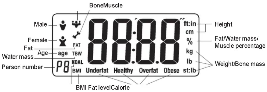 BoneMuscle Male Female Fat Age Water mass Person number 88.88 ft:in cm % kg lb Weight/Bone mass Height Fat/Water mass/Muscle percentage 88.88 Underfat Healthy Overfat Obese st:lb BMI Fat levelCalorie P8 KCAL BMI