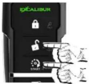 EXCALIBUR LOCK UNLOCK START