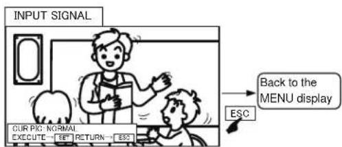 INPUT SIGNAL CUR PIC: NORMAL EXECUTE → SET RETURN → ESC Back to the MENU display ESC