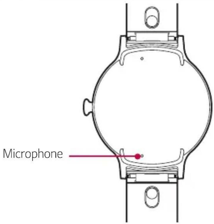 Microphone