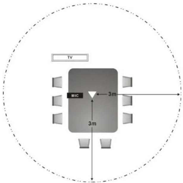 TV MIC 3m 3m
