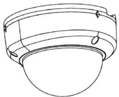 Illustra IES02-B10-BI04 - Installation and Configuration Guide - 1