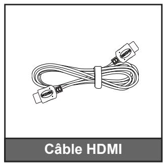 OPTOMA EH504 - Description du contenu de la boîte - 7